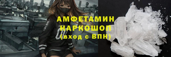 стаф Алзамай